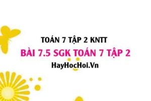 Bài 7.5 SGK Toán 7 tập 2 Kết nối tri thức